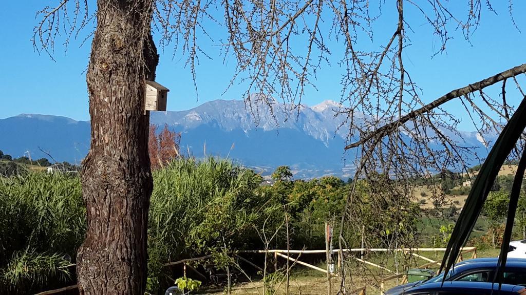 أدري B&B L'Albero Di Antonia المظهر الخارجي الصورة
